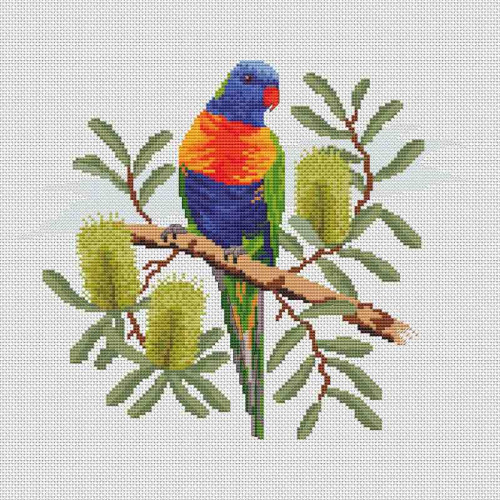 Rainbow Lorikeet on Banksia Integrifolia PDF pattern 